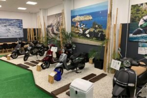 Lee más sobre el artículo Ecoelectric 21 | Santander